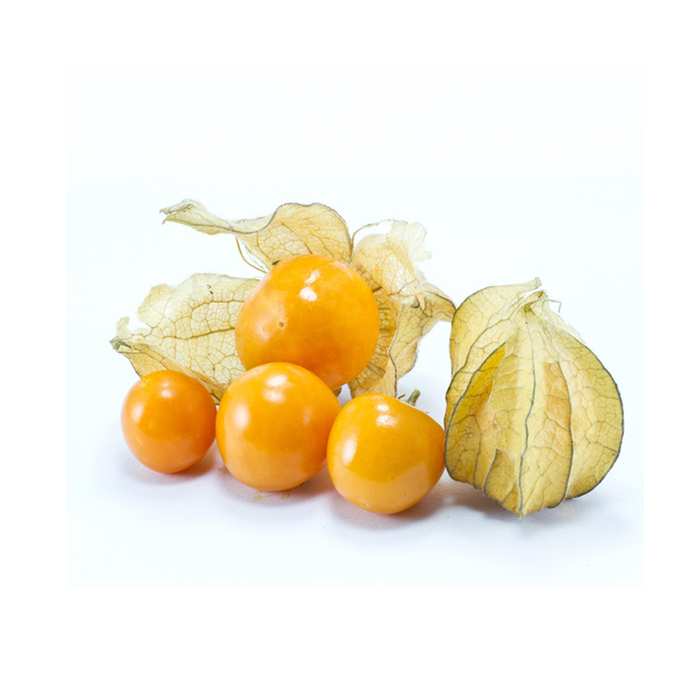 【稳当鲜果】东北黄姑娘果 1斤